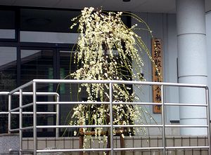 �V�����T�R�������