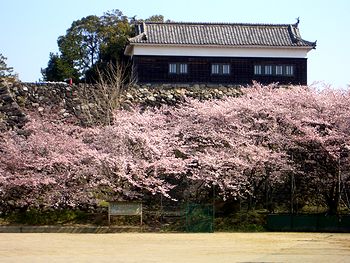 多門櫓と桜