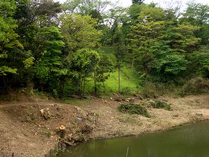 亀山公園の池に沿って遊歩道がつくられる